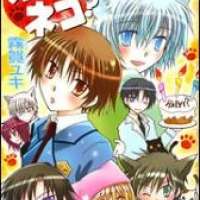  ����� Boku x Neko? <small>Story & Art</small> 